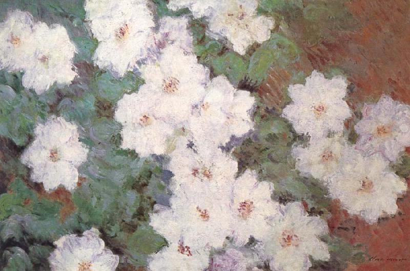 Claude Monet Clematis oil painting image